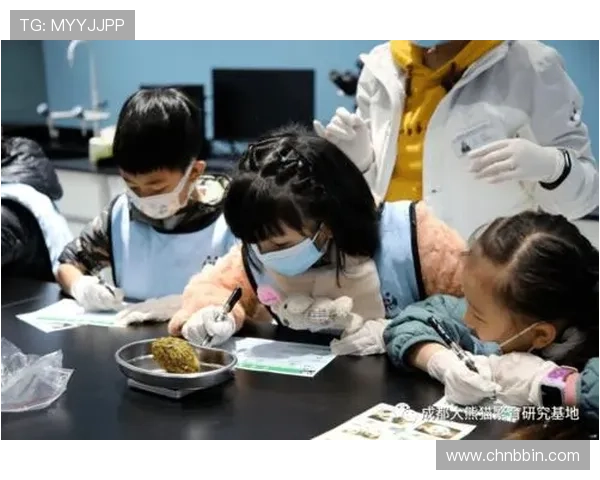 PA真人用户评价大揭秘，真实用户分享互动体验与平台服务的全面分析