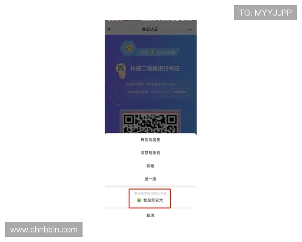 bbin中国移动端登录与操作指南详解