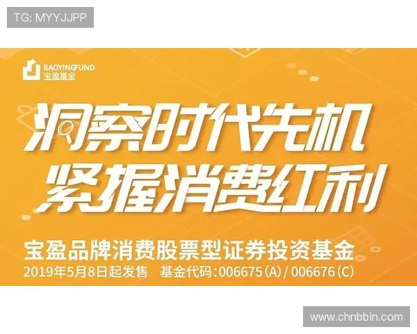 宝盈官网入口：宝盈理财官网入口的最新更新信息与访问注意事项