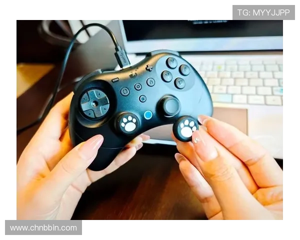 如何快速解决BBIN网站登录问题确保顺畅游戏体验的详细操作流程